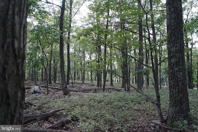 Lot 7 Justin Ln, Great Cacapon, WV 25422 - photo 5