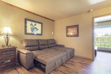 Pull out sofa