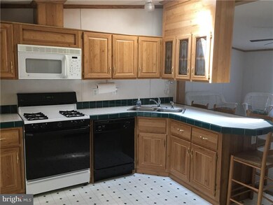 166 White Pine Dr, Millsboro, DE 19966 - photo 6