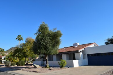 Large corner lot 381
