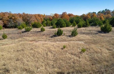 30284 Willow View Rd, Tecumseh, OK 74873 - photo 2