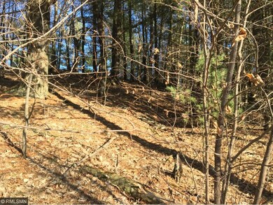 Oak and Pine Trees Dominate the Lot.