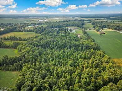 V/L Capel Rd, Grafton, OH 44044 - photo 2