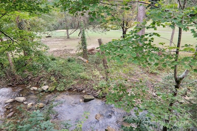 429 Mountains Blvd unit C-102, Lake Lure, NC 28746 - photo 6