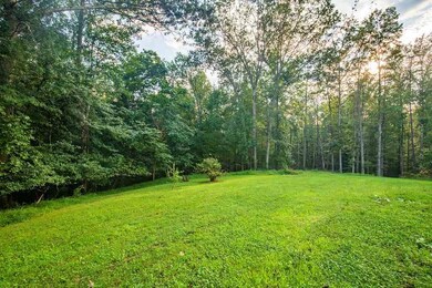 1295 Durrett Ridge Rd, Earlysville, VA 22936 - photo 5