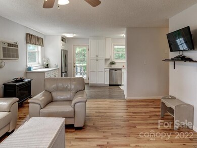 1076 Bear Creek Rd, Leicester, NC 28748 - photo 6