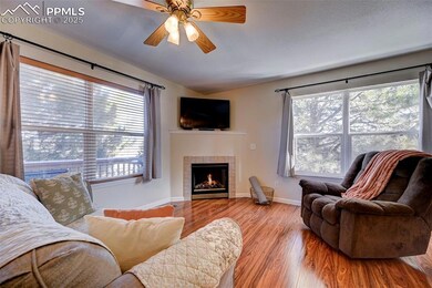 Living room featuring ceiling fan, light wood-type