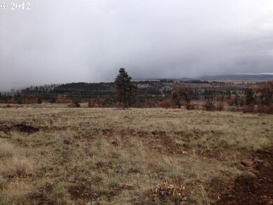 0 Mack Dr unit 12087951, Bickleton, WA 99322 - photo 2