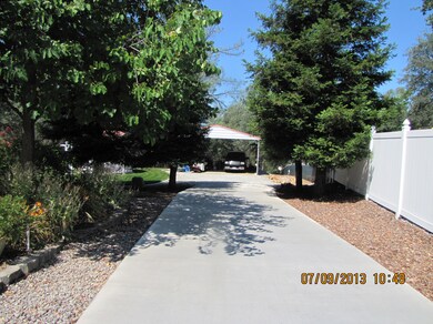 Driveway to Carport