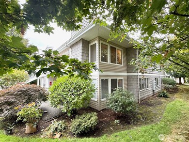 View looking from wooded are on NW