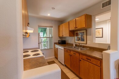 1100 Goeglein Gulch Rd unit 235, Durango, CO 81301 - photo 6