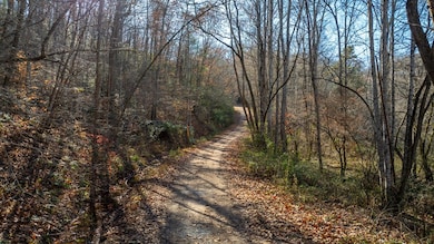 300 River Mist Ln, Franklin, NC 28734 - photo 2