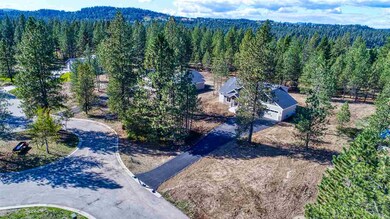 3315 E Elena Ln, Chattaroy, WA 99003 - photo 4