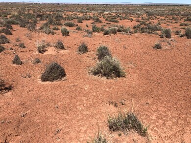 880 Marauder Rd, Winslow, AZ 86047 - photo 2