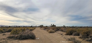 0 Avenue L4 23rd St E unit SR25244226, Palmdale, CA 93550 - photo 2