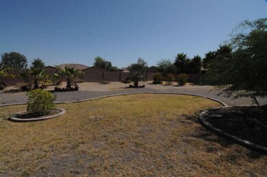 Back Yard North East