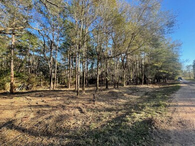 10014 Bentley Dr, Hockley, TX 77447 - photo 3