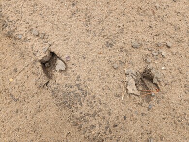 Parcel B W 16th St, Baldwin, MI 49304 - photo 2