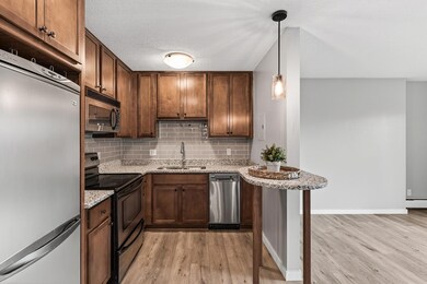 3729 Snelling Ave unit 308, Minneapolis, MN 55406 - photo 2