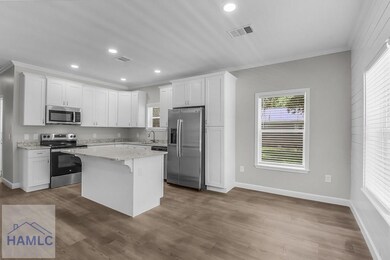 54 Pear St, Ludowici, GA 31316 - photo 6