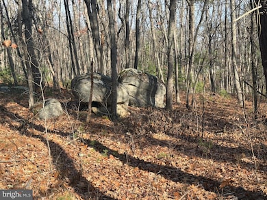 0 5 6 Cooper Mountain View, Capon Bridge, WV 26711 - photo 6