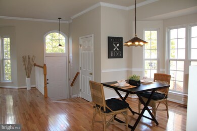 6001 Madison Overlook Ct, Falls Church, VA 22041 - photo 7