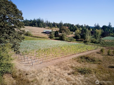 11700 NE 279th St, Battle Ground, WA 98604 - photo 5