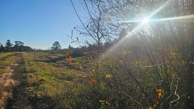 607 Co Rd 134, Garrison, TX 75946 - photo 4