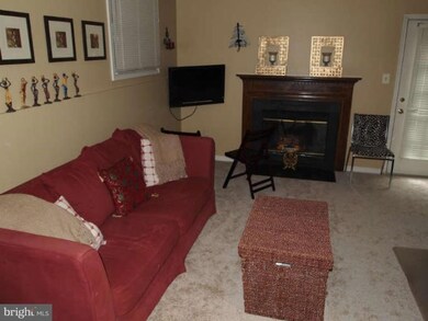 3710 Madison Ln unit 3710, Falls Church, VA 22041 - photo 3