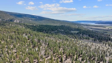 DJI_0115