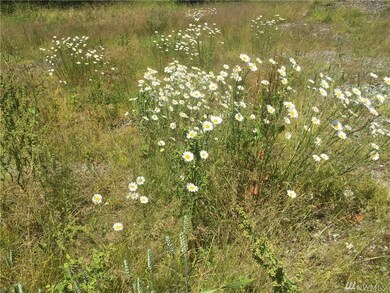 0 Lalka Ln unit 1149793, Langley, WA 98260 - photo 3