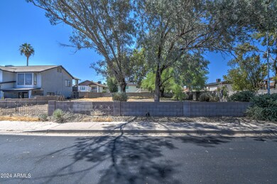 Lot 4