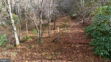 00 Sawmill Hill Rd NW, Willis, VA 24380 - photo 5