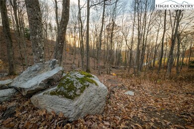 LV2 Old Laurel Ln, Elk Park, NC 28622 - photo 2