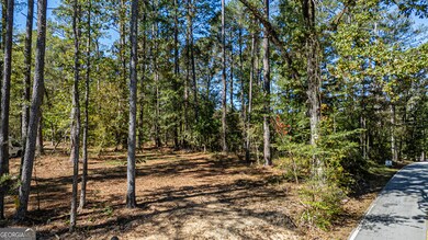 2930 Bonds Lake Rd NW, Conyers, GA 30012 - photo 6