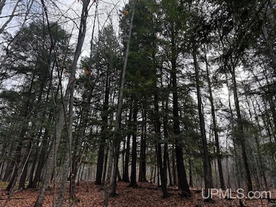 TBD Skanee Rd, Skanee, MI 49962 - photo 3