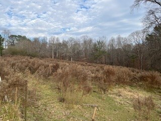 0 Julius Bridge Rd unit 420745, Ball Ground, GA 30107 - photo 7