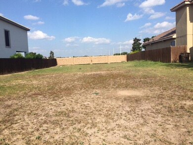 3408 Monroe Ave, Edinburg, TX 78539 - photo 3