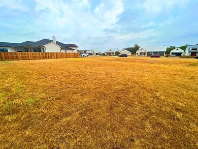 919 Laurel Ln unit 56, Fredericksburg, TX 78624 - photo 6