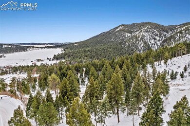 View of mountain feature featuring a view of trees