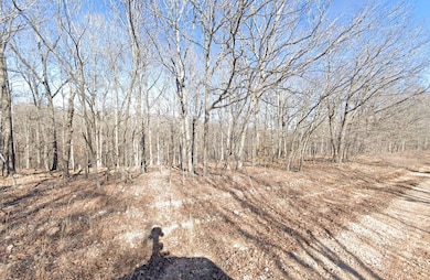 0 Eagle Dr, Eucha, OK 74342 - photo 2