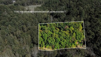 3468 Fir Ln, Ellijay, GA 30540 - photo 2