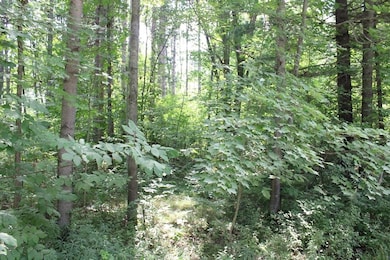 Parcel A-1 W Lily Lake Rd, Harrison, MI 48625 - photo 3