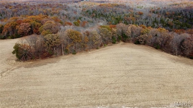 Tract 4 Polston Ln, Hickory Grove Township, MO 63357 - photo 4