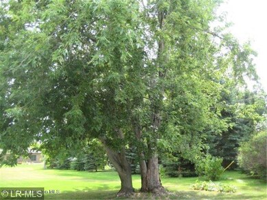 nicely treed