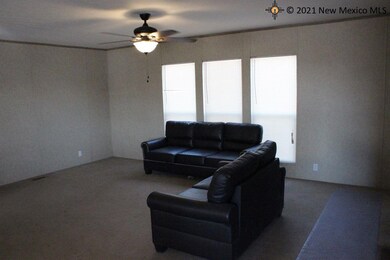 4206 Willow St, Carlsbad, NM 88220 - photo 3