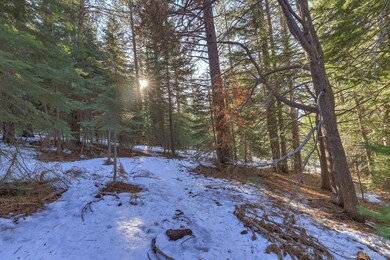 1346 Thunderbird Dr, South Lake Tahoe, CA 96150 - photo 5