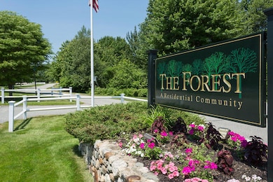 Forest Entrance
