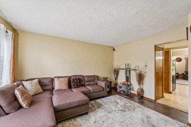 3-web-or-mls-5722-jousting-ln