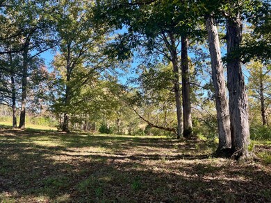 000 Childs Rd, Troy, AL 36081 - photo 4